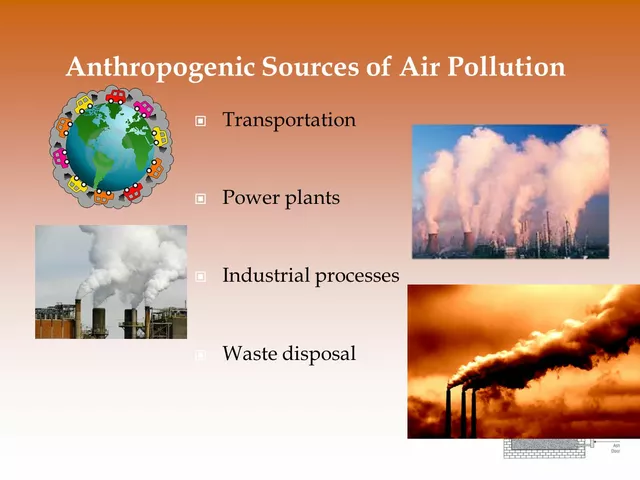The Impact of Air Pollution on Melasma Development